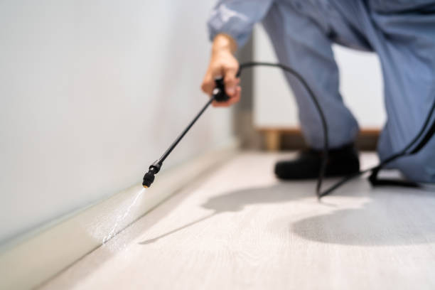 Best Flea Control Services  in Barton, NM