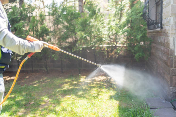 Best Flea Control Services  in Barton, NM