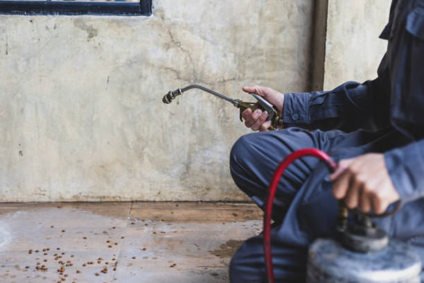 Best Emergency Pest Control  in Barton, NM